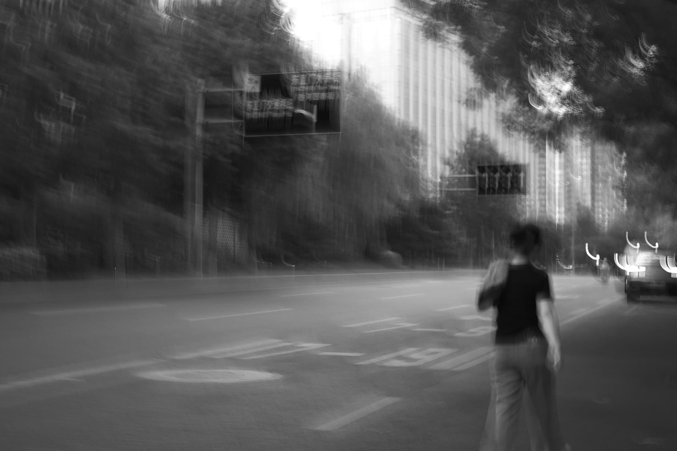 Beijing 15, 2026 — Fotografia digitale, bianco e nero