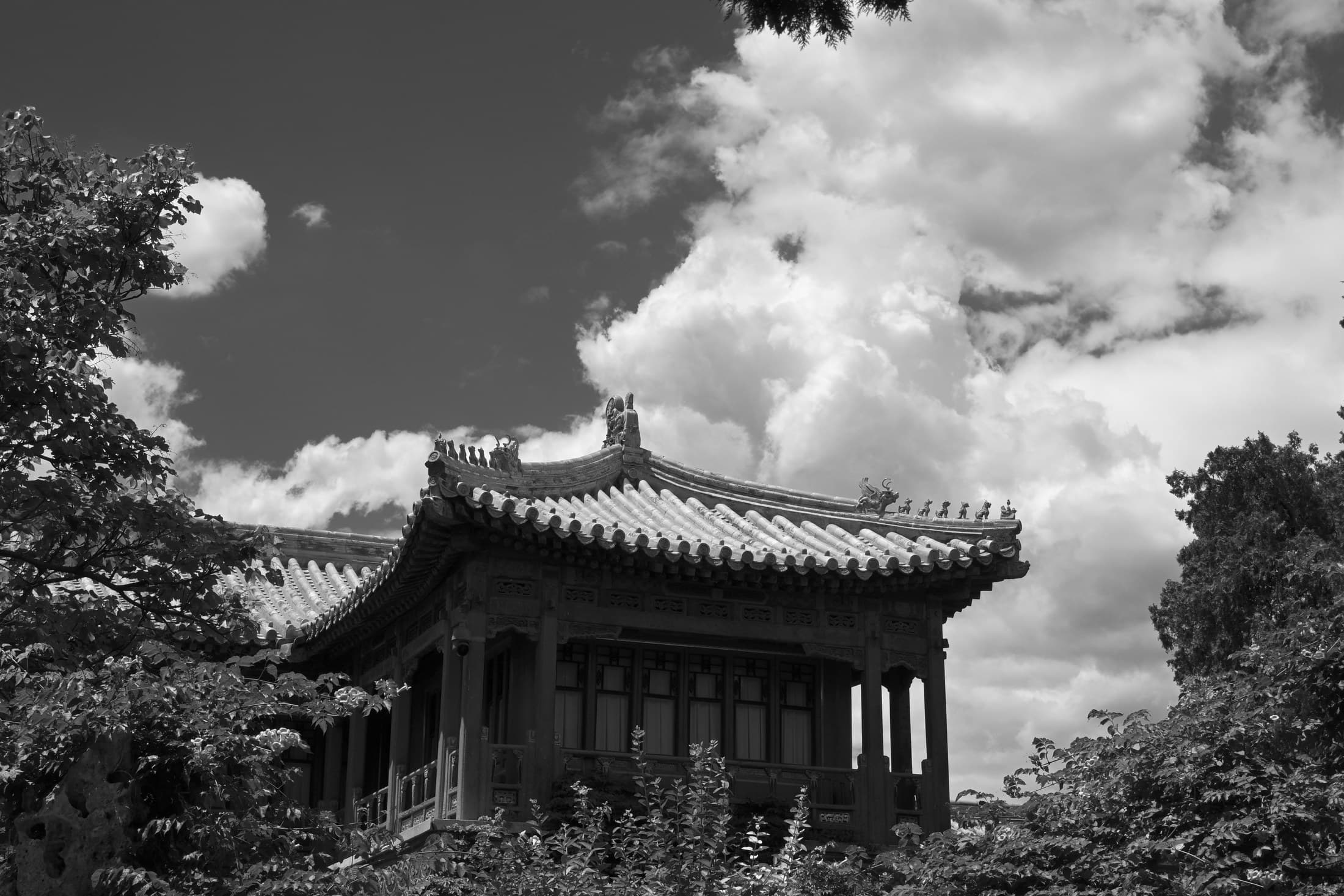 Beijing 24, 2026 — Fotografia digitale, bianco e nero