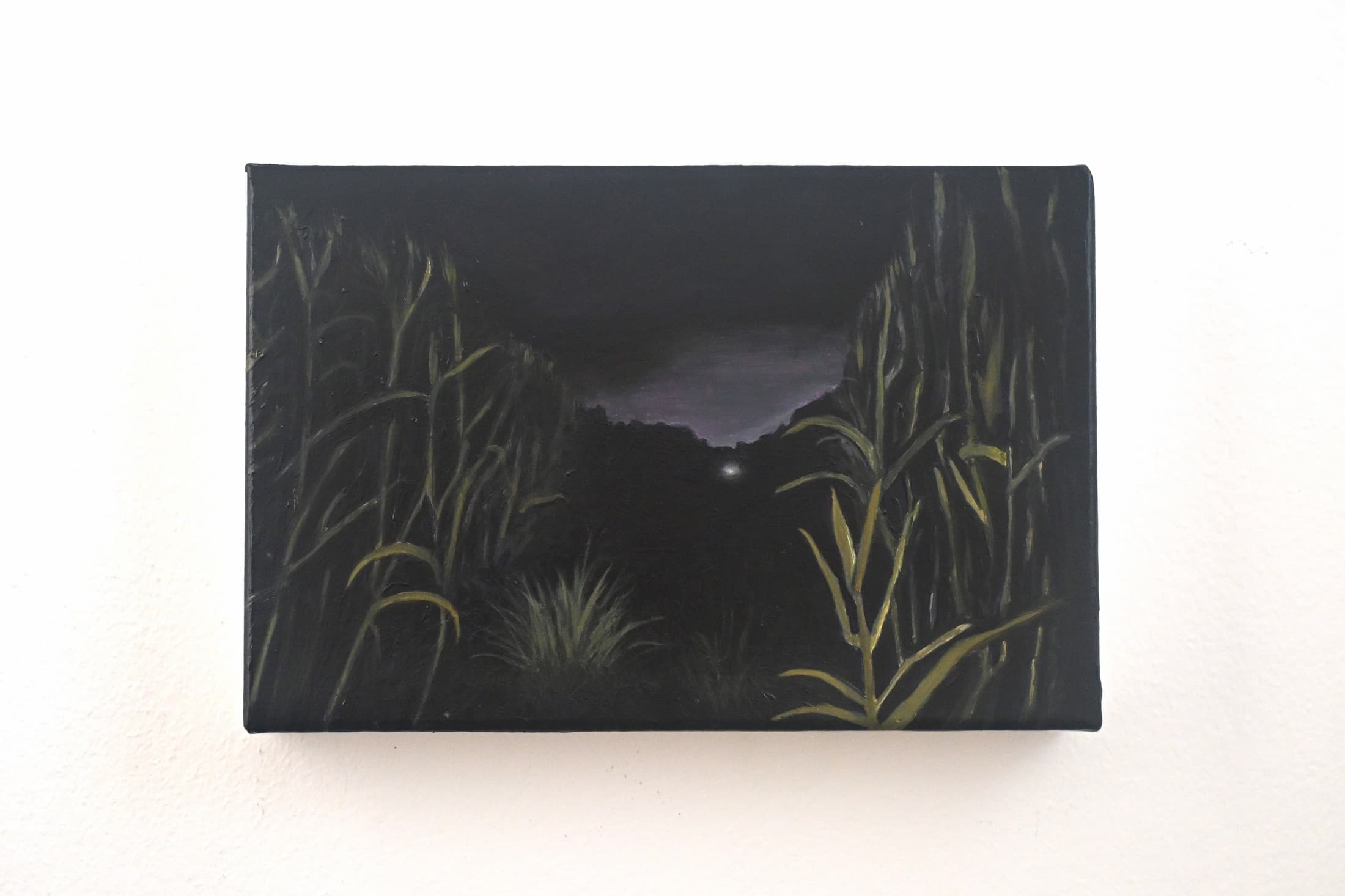 Cornfield, 2023 — Acrilico su tela
