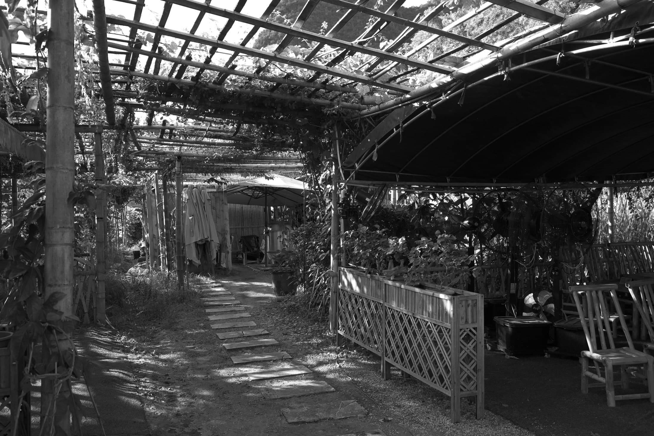 Guilin 11, 2026 — Fotografia digitale, bianco e nero