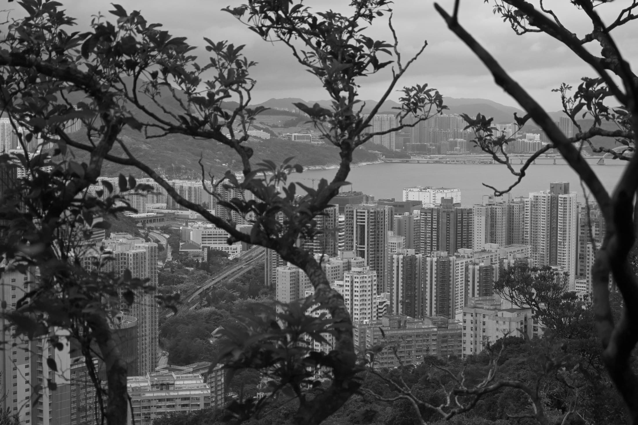 Hong Kong 07, 2026 — Fotografia digitale, bianco e nero