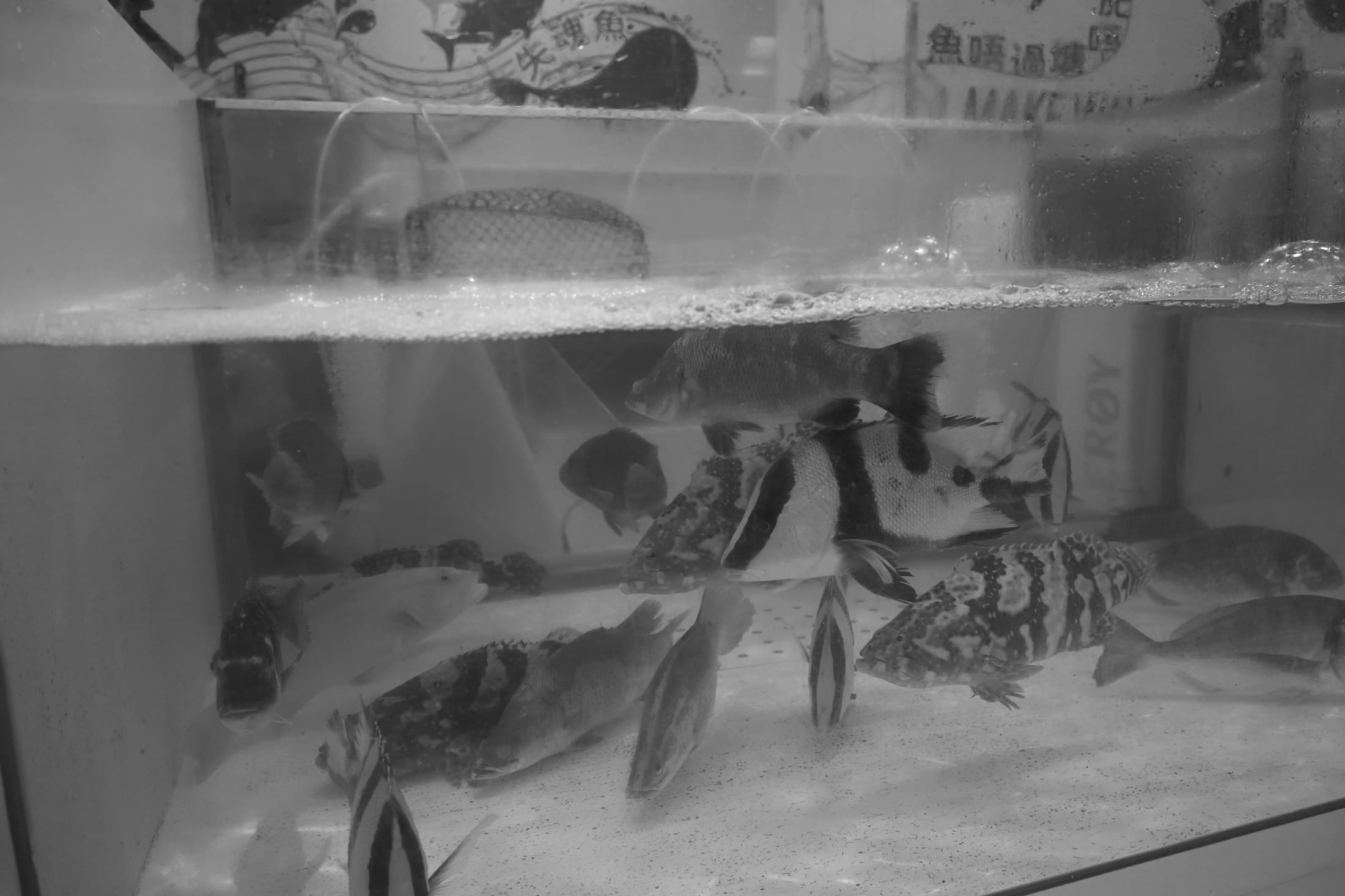 Hong Kong 11, 2026 — Fotografia digitale, bianco e nero
