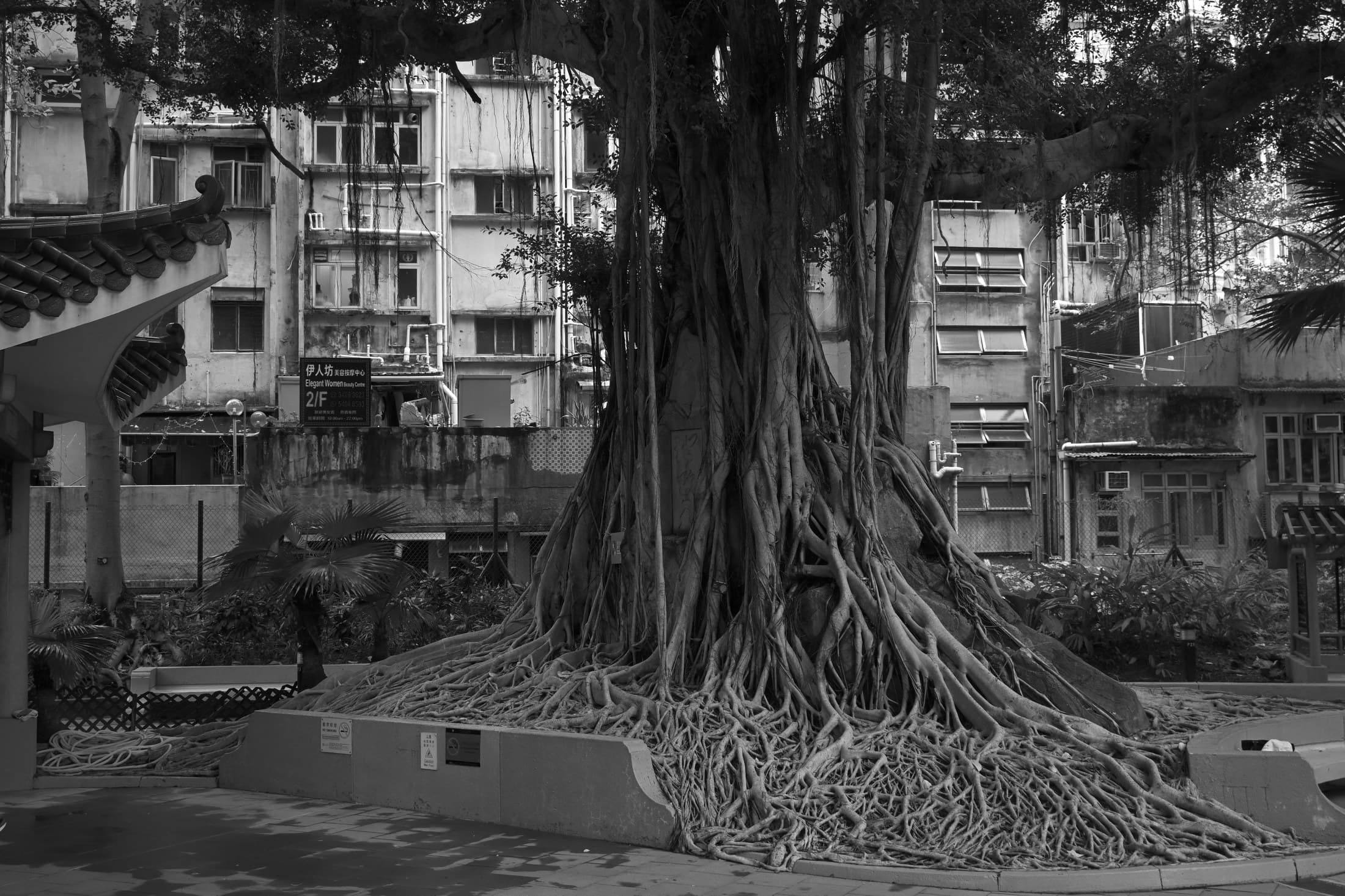 Hong Kong 21, 2026 — Fotografia digitale, bianco e nero